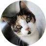 slider image 6
