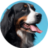slider image 5